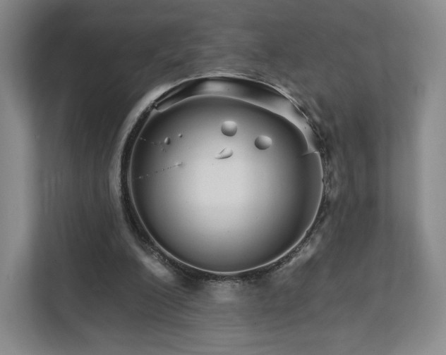 X0000111930200200908031125