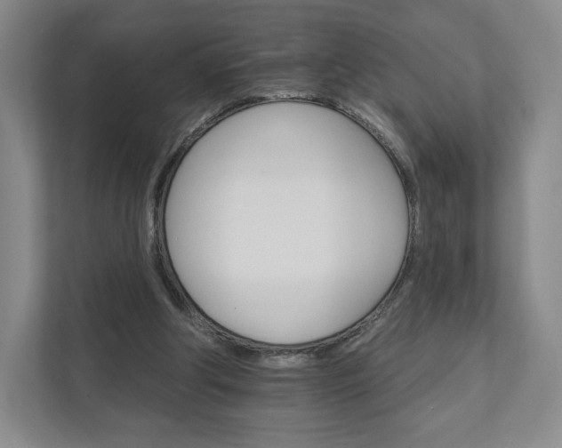 X0000111930202200908031125