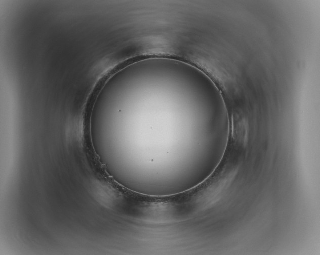 X0000111930204200908031125