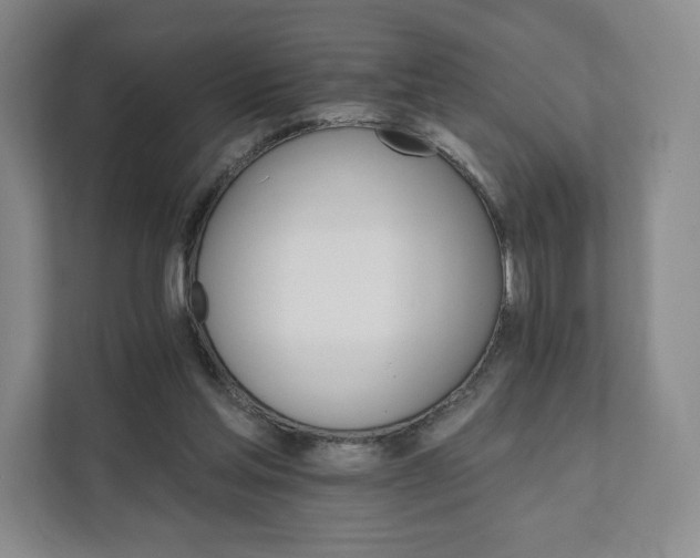 X0000111930205200908031125