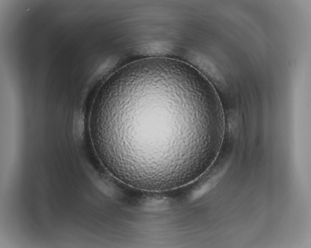 X0000111930206200908031125