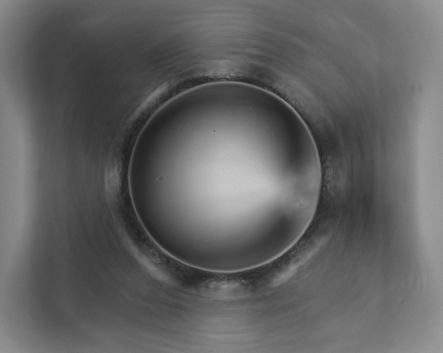 X0000111930208200908031125