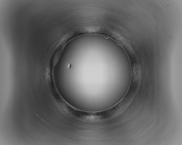 X0000111930212200908031124