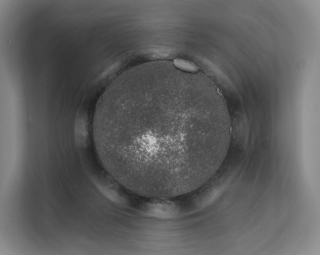 X0000111930215200908031124