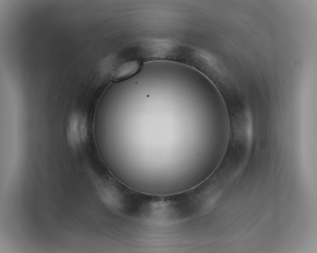 X0000111930216200908031124