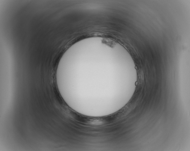 X0000111930218200908031124