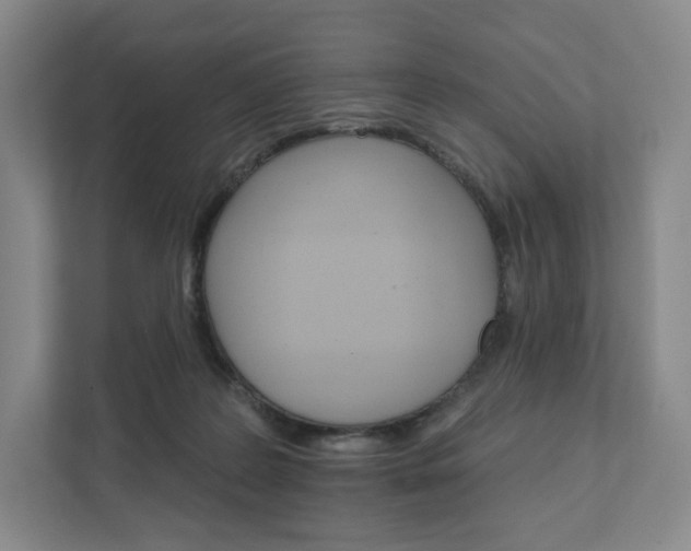 X0000111930219200908031124