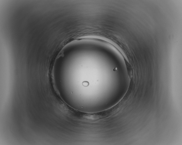 X0000111930221200908031124