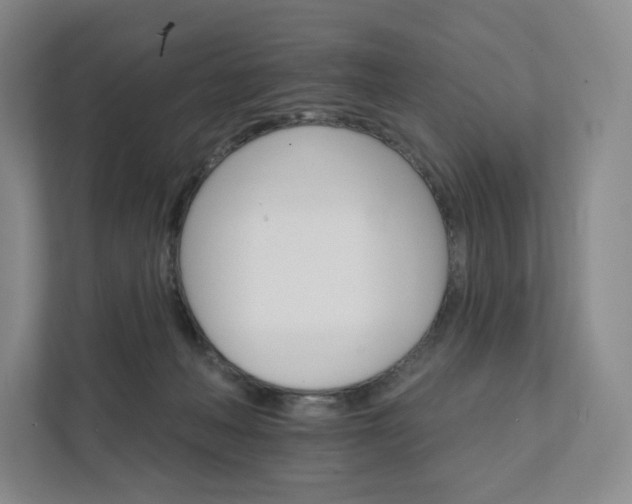 X0000111930222200908031124