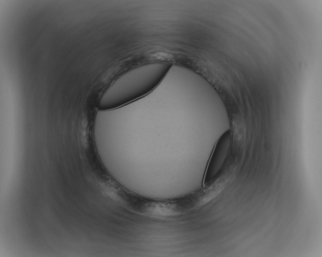 X0000111930223200908031124