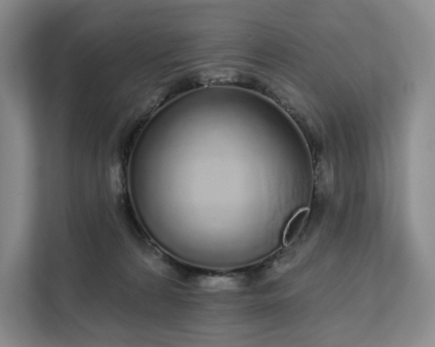 X0000111930224200908031124