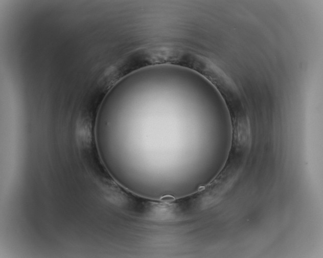 X0000111930226200908031124