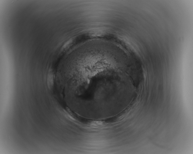 X0000111930227200908031124