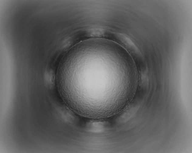 X0000111930228200908031124