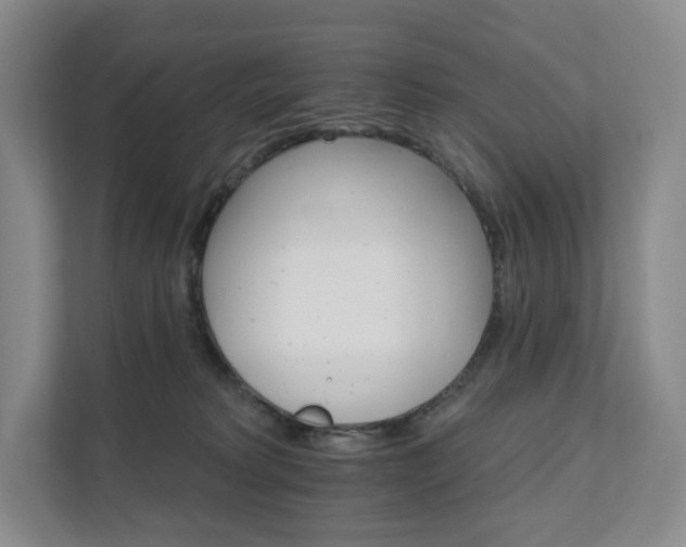 X0000111930229200908031124