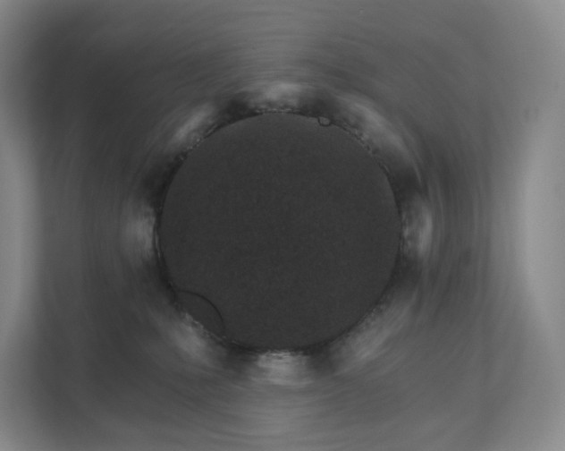 X0000111930231200908031124