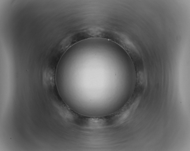 X0000111930234200908031124