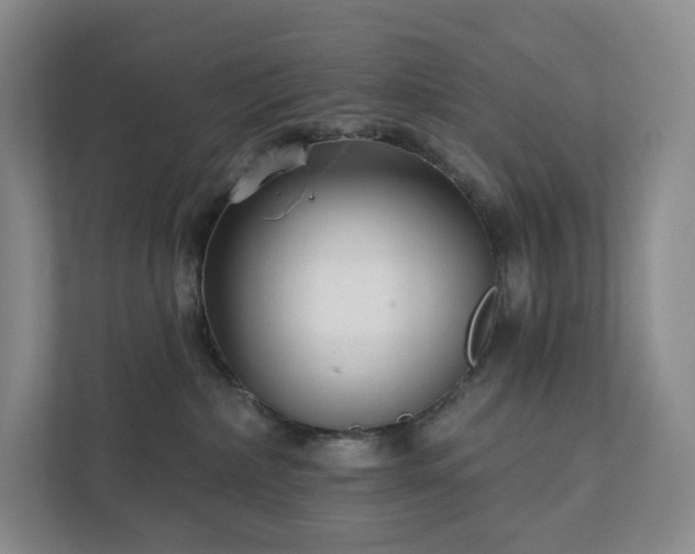 X0000111930236200908031124