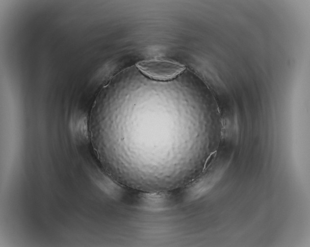 X0000111930238200908031124