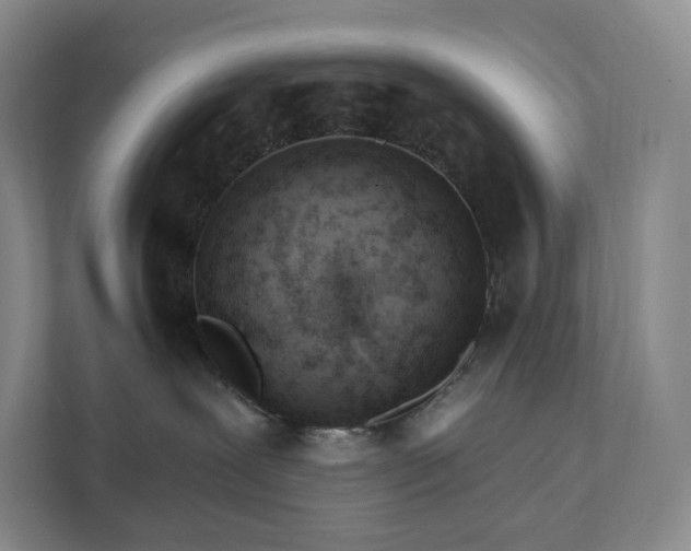 X0000111930239200908031124