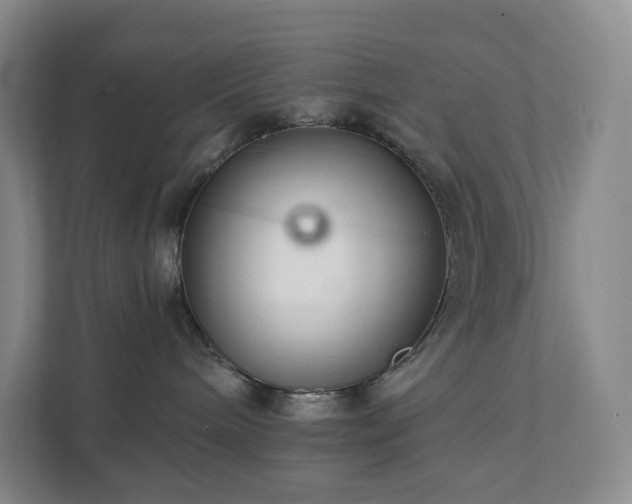 X0000111930240200908031124