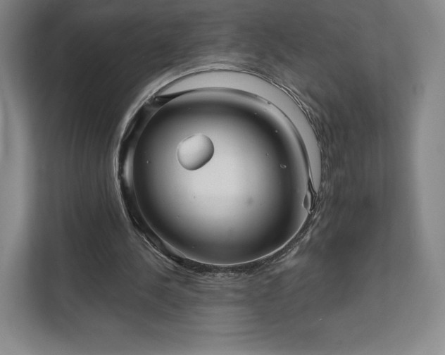 X0000111930244200908031124