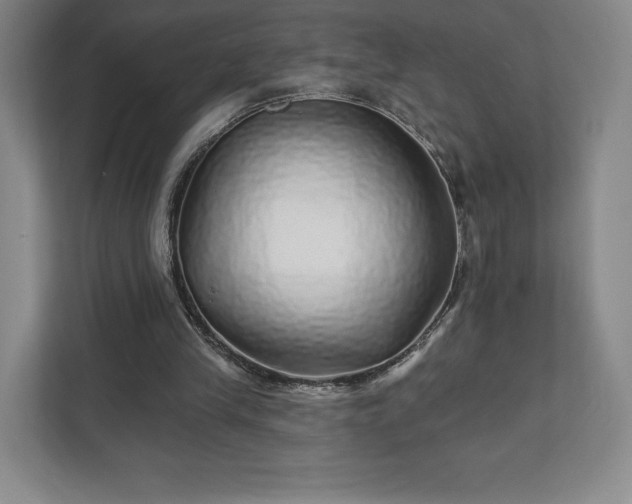 X0000111930245200908031124