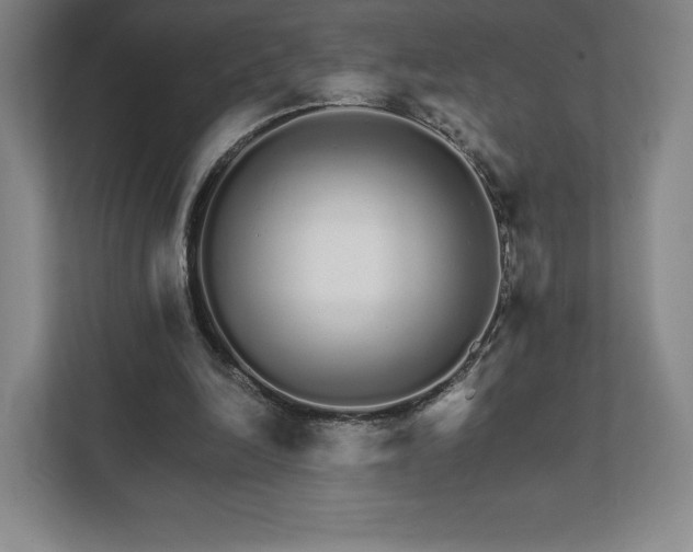 X0000111930246200908031124