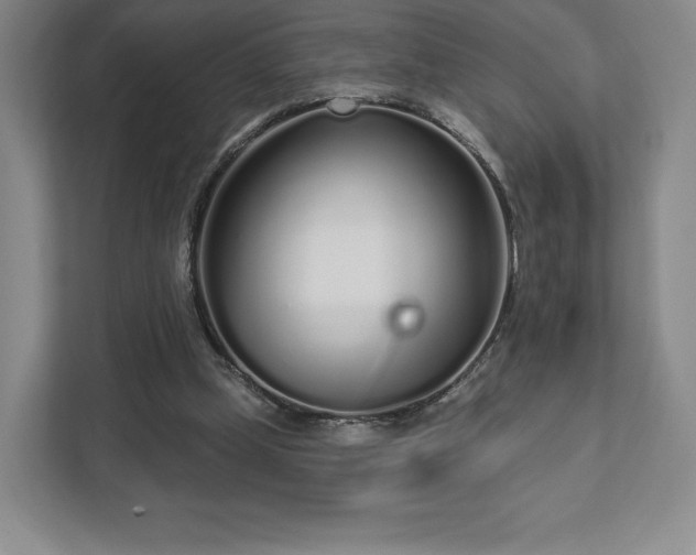 X0000111930249200908031124