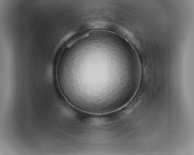 X0000111930250200908031124