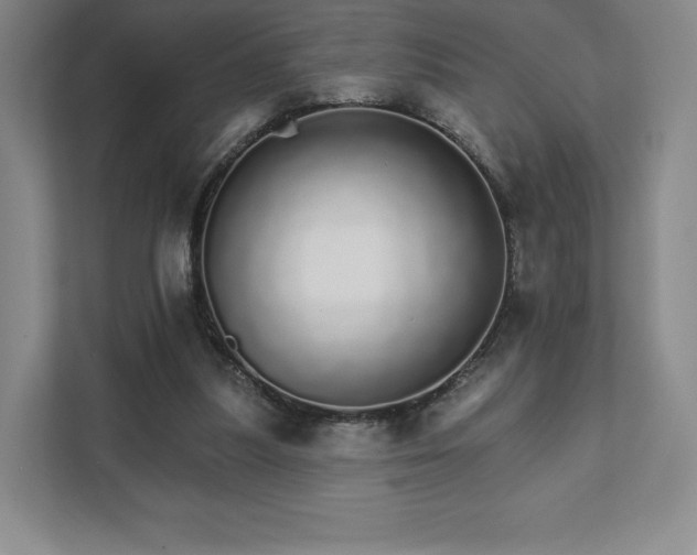 X0000111930251200908031124