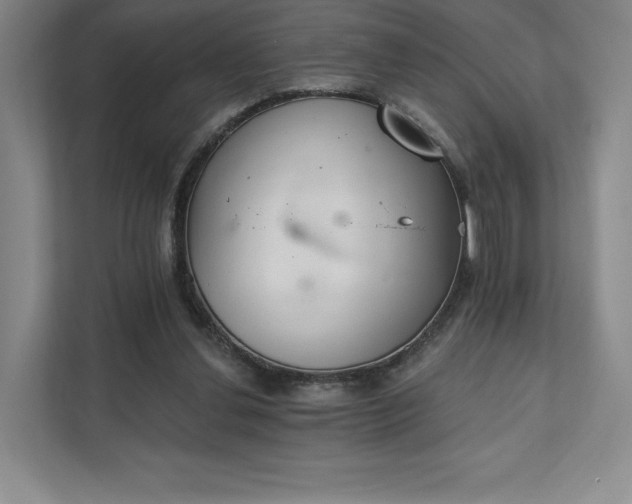 X0000111930252200908031124