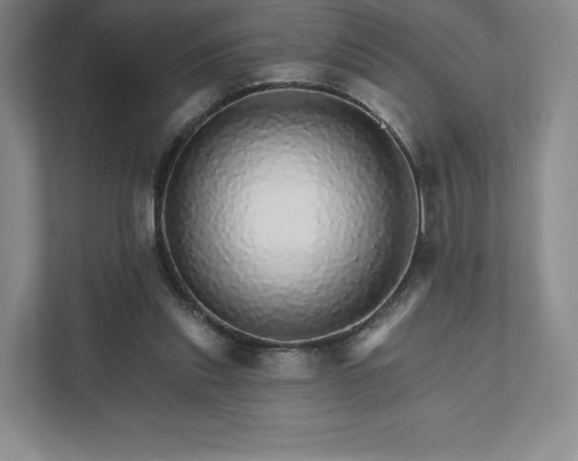 X0000111930253200908031124