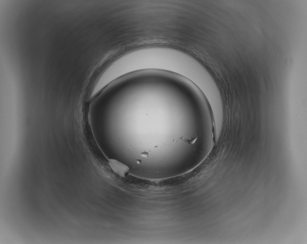 X0000111930256200908031124