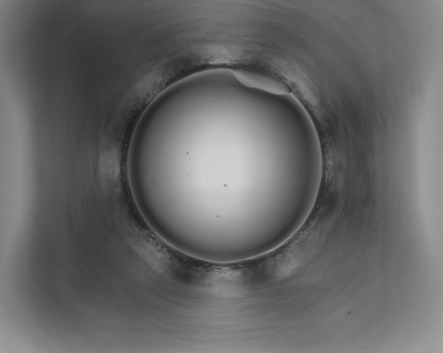 X0000111930257200908031124