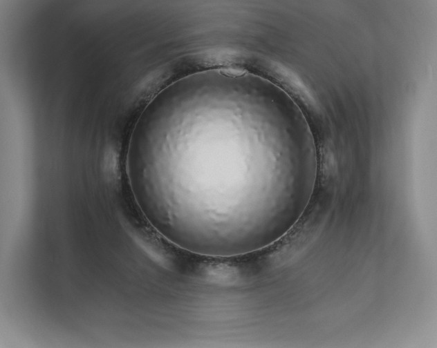 X0000111930258200908031124