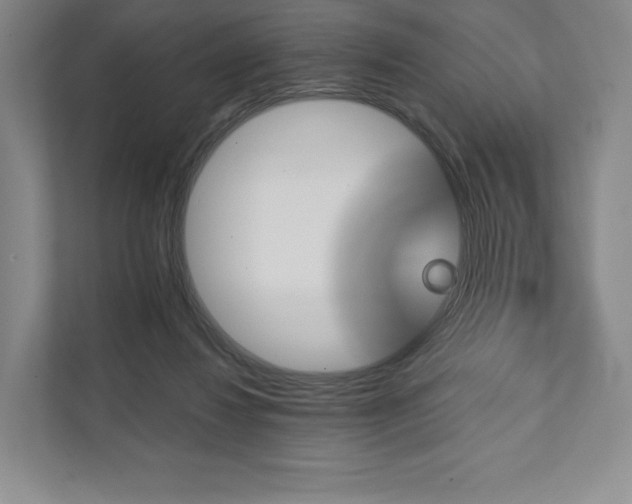 X0000111930260200908031124