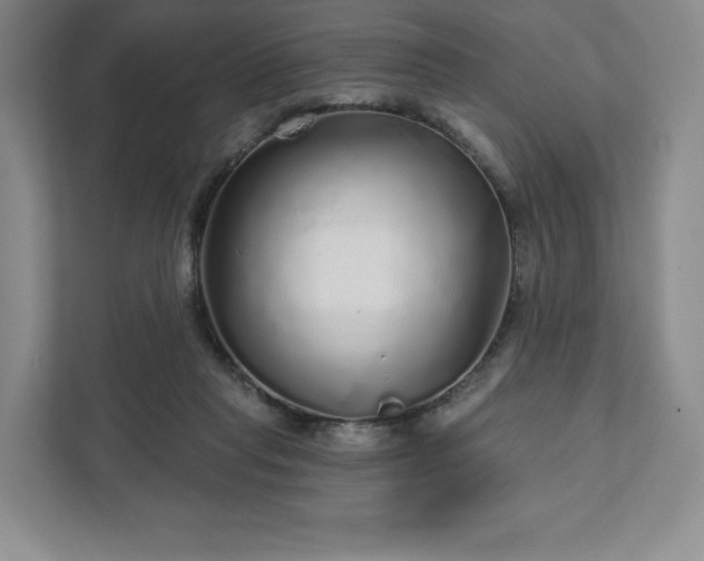 X0000111930261200908031124