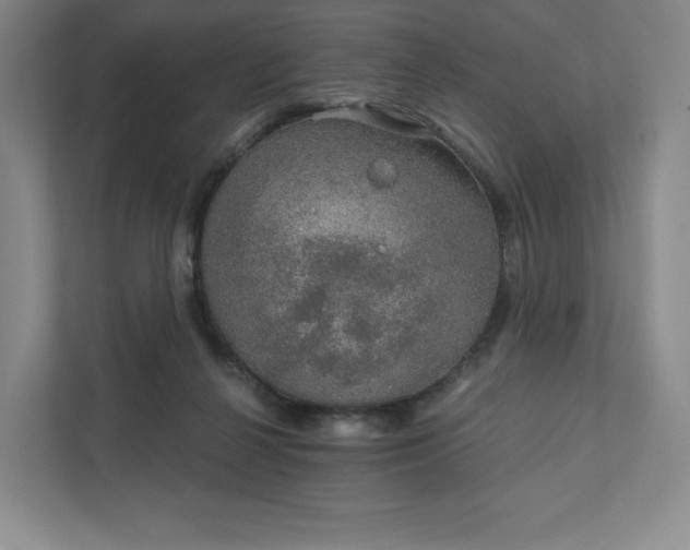 X0000111930264200908031124