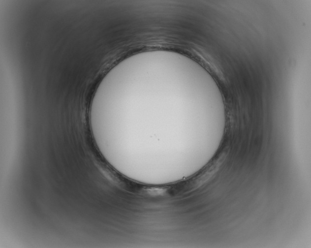 X0000111930265200908031124