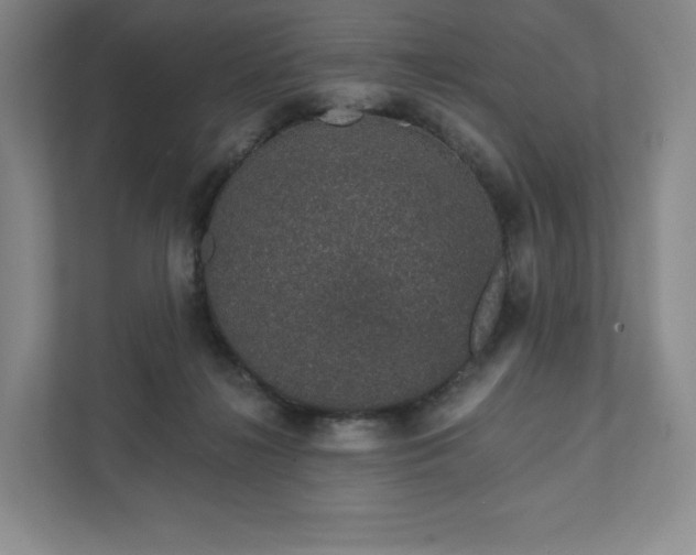 X0000111930268200908031124