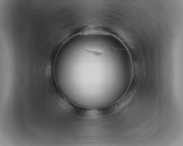 X0000111930269200908031124