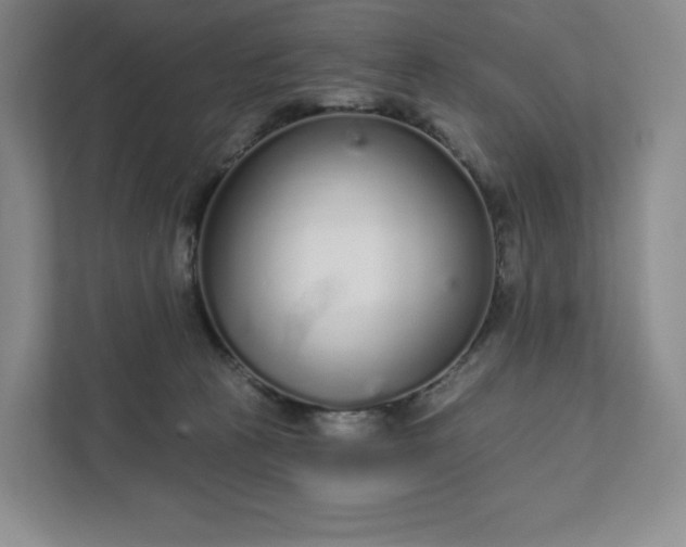 X0000111930273200908031124