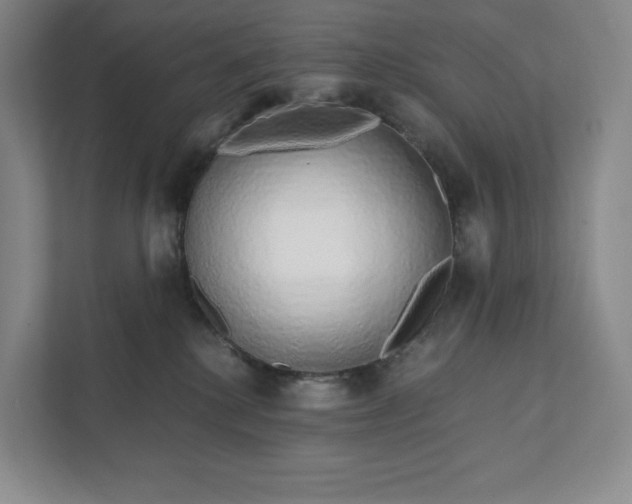 X0000111930280200908031124