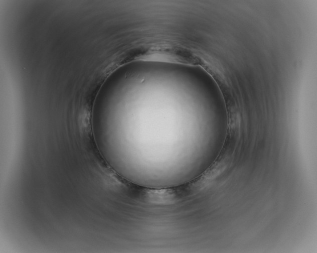 X0000111930281200908031124