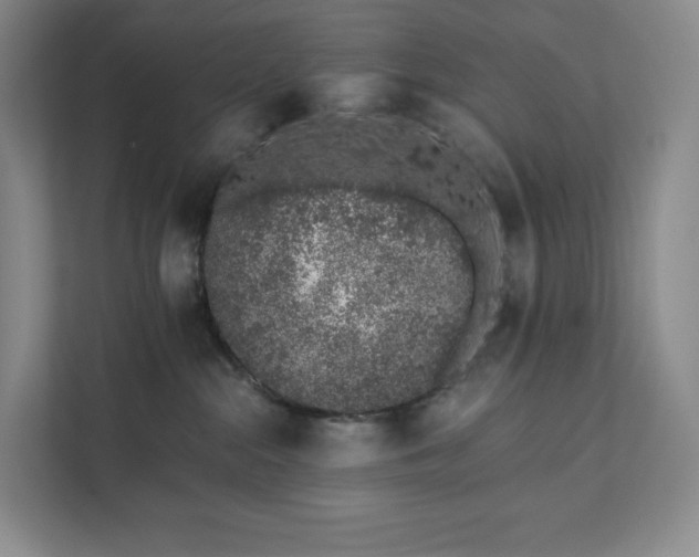 X0000111930284200908031124