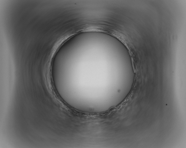 X0000111930289200908031123