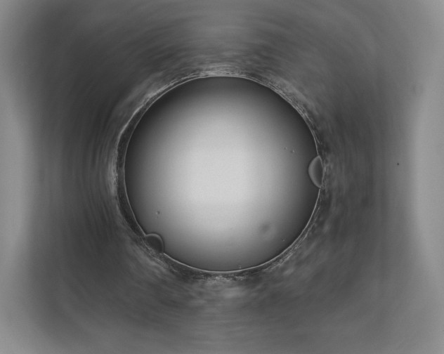 X0000111930290200908031123