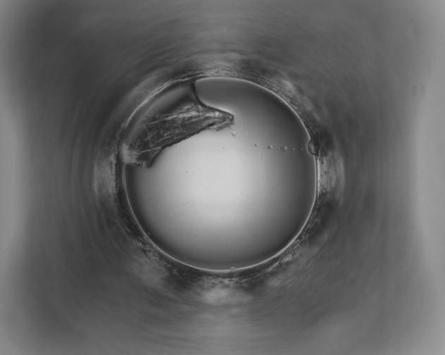 X0000111930291200908031123