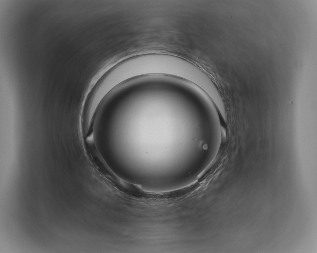 X0000111930292200908031123